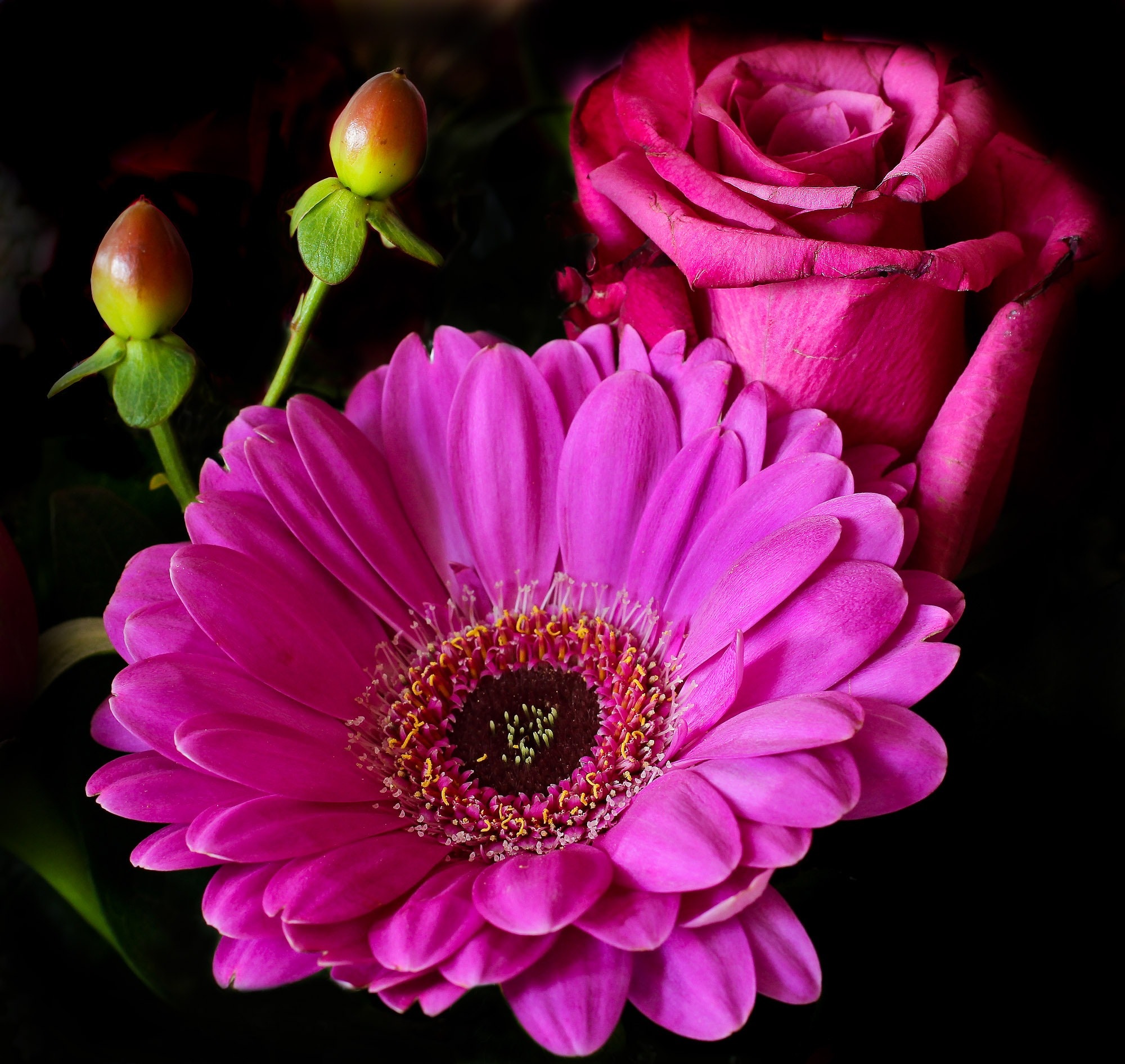 Flowers
